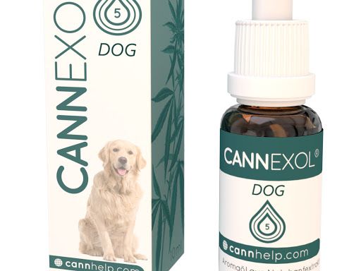 Cannexol DOG 5% CBD Öl | Hund | zertifiziert | 10ml | Aroma